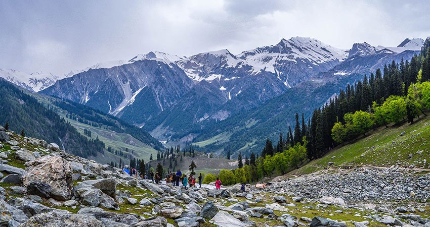 Kashmir The Paradise Tour Package